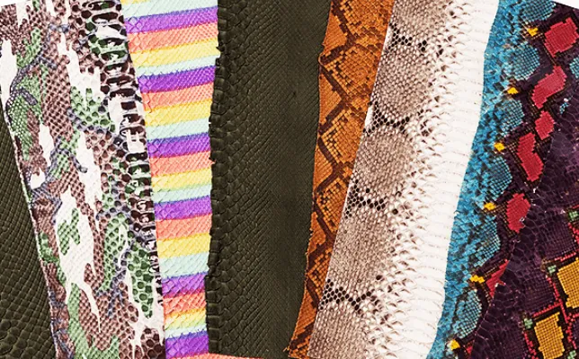 ダイヤモンドパイソン