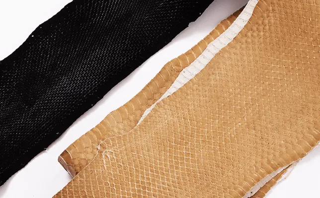 ミズヘビ・エラブウミヘビ